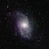 M33