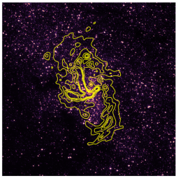 Overlay of SOFIA/FORCAST 37 micron surface brightness contours on HST/NICMOS 1.9 micron image of the Circumnuclear Ring