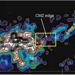 The Galaxy's Central Molecular Zone