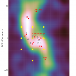 A BIMA-SONG radio map of the IC 342 central molecular zone