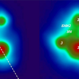 Images of S140