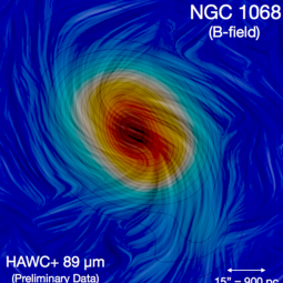 Image showing magnetized spiral arms of NGC 1068