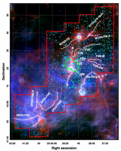 Cygnus-X with magnetic fields