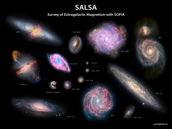 The magnetic fields of 15 extragalactic objects shown in relative angular sizes.