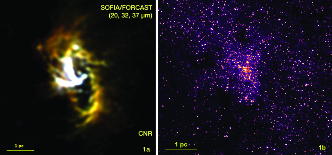 SOFIA/FORCAST mid-infrared image of the Milky Way Galaxy's nucleus