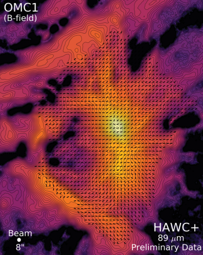 Image of polarization measurements capturing the structure of the magnetic field in the Orion star forming region.