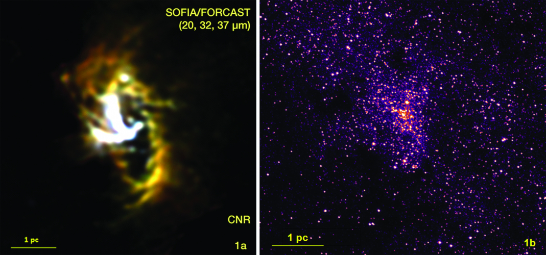 Milky Way Galaxy Circumnuclear Ring